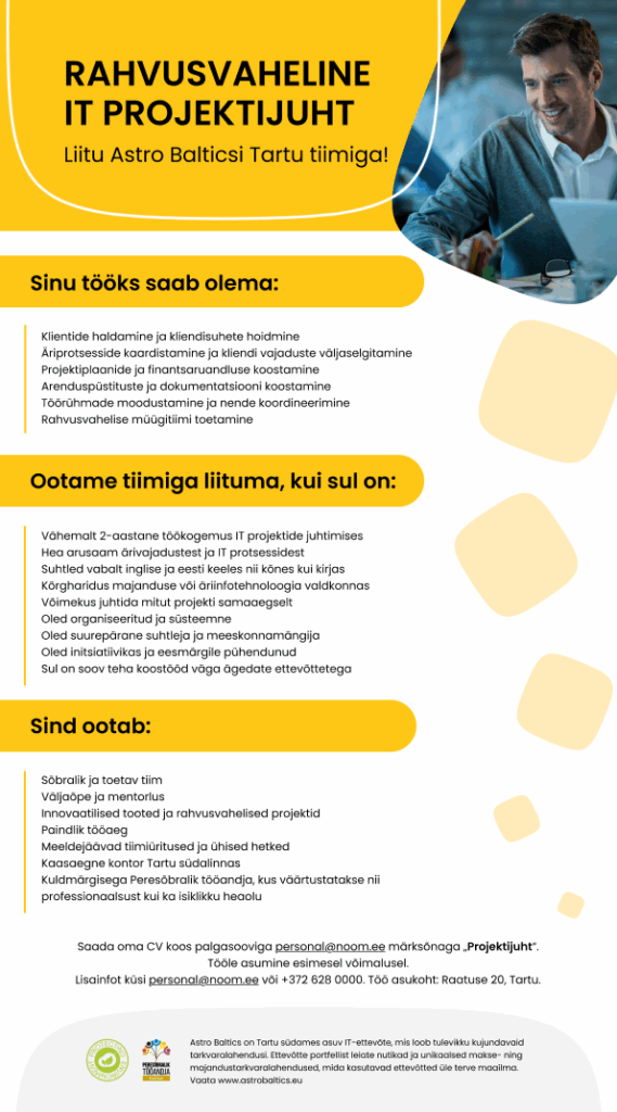 international IT project manager